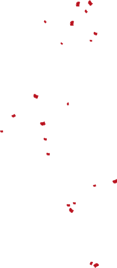 object